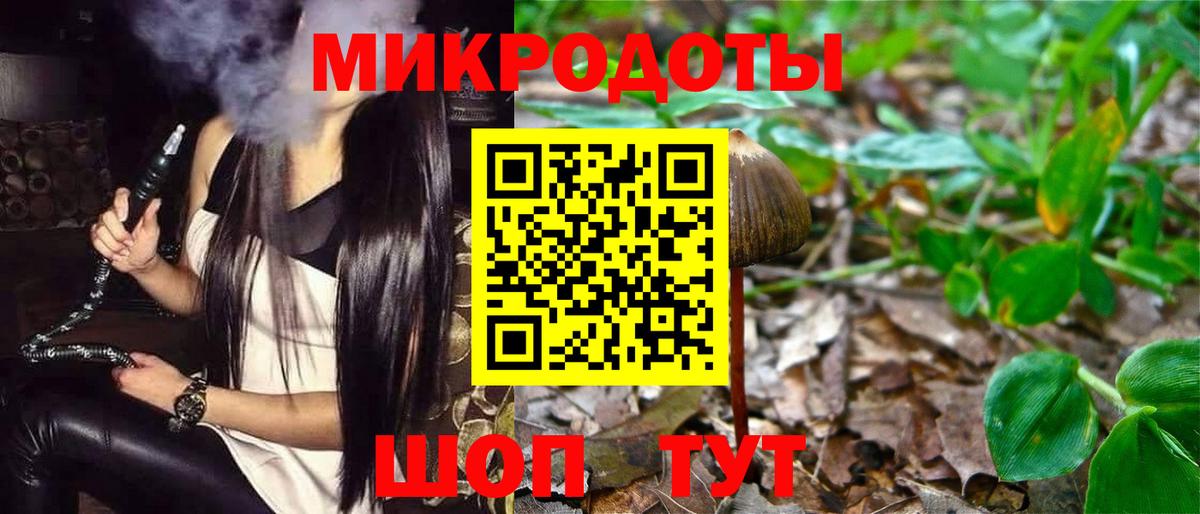 Златоуст  Галлюциногенные грибы Psilocybe  Вход с VPN 