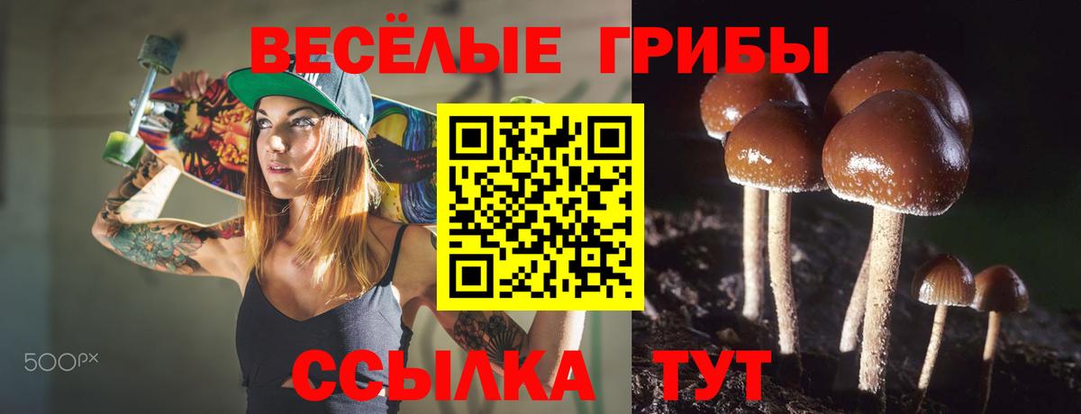 Галлюциногенные грибы Magic Shrooms Златоуст